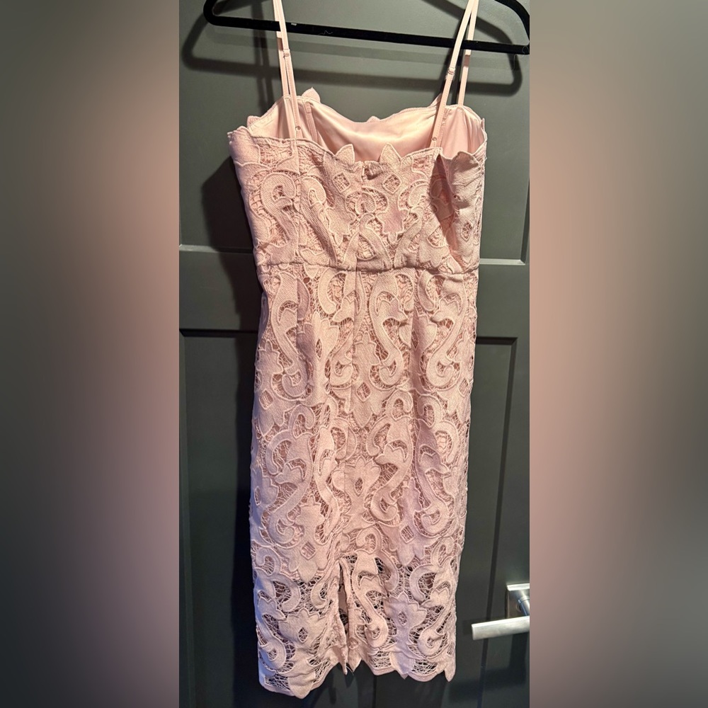 Bardot Lina Blush Lace Midi Dress - Picture 7 of 9